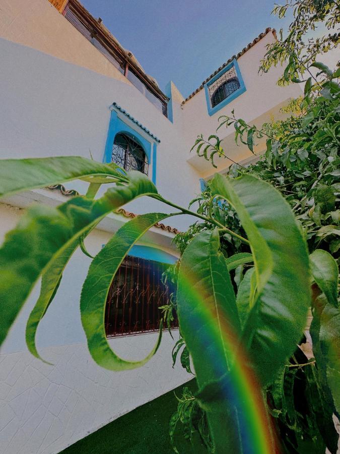 Auberge Dalia Szafszawan Zewnętrze zdjęcie