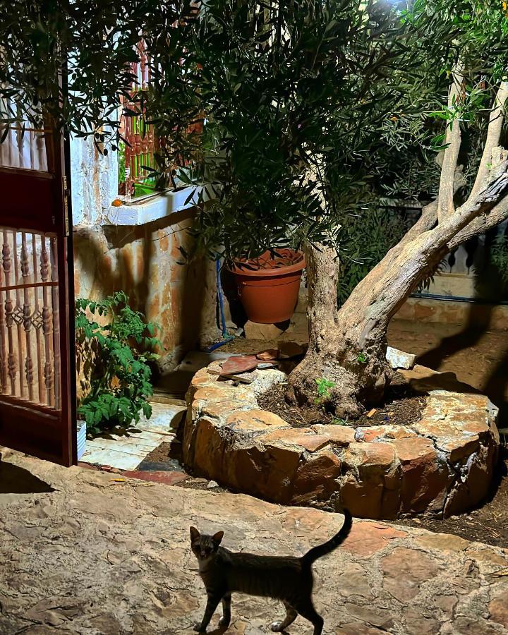 Auberge Dalia Szafszawan Zewnętrze zdjęcie